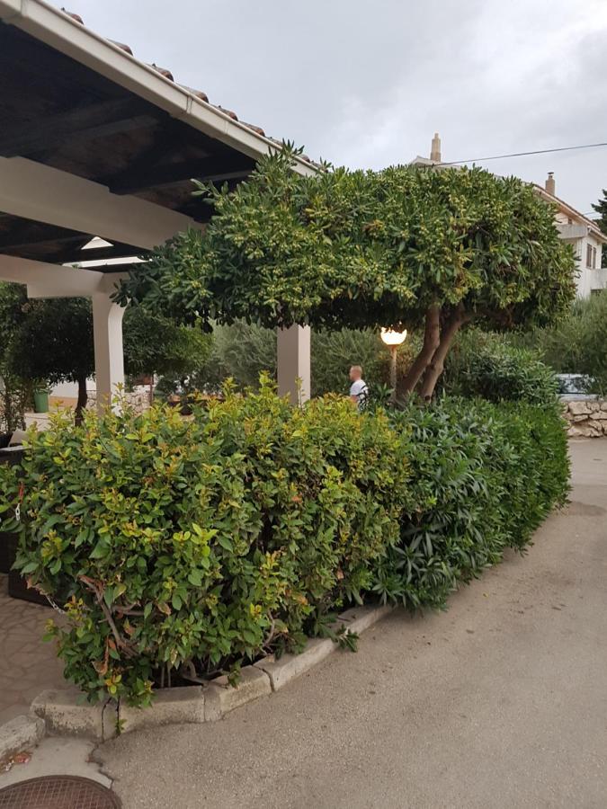 Apartments And Rooms Vesna نوفاليا المظهر الخارجي الصورة